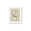 Picture of White Whisps I _GroupedProduct_Rectangle_Portrait_Framed_Matted_