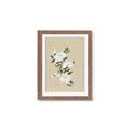 Picture of White Whisps I _GroupedProduct_Rectangle_Portrait_Framed_Matted_