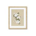 Picture of White Whisps I _GroupedProduct_Rectangle_Portrait_Framed_Matted_