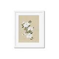 Picture of White Whisps I _GroupedProduct_Rectangle_Portrait_Framed_Matted_
