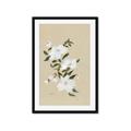 Picture of White Whisps I _GroupedProduct_Rectangle_Portrait_Framed_Matted_
