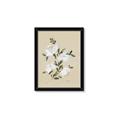Picture of White Whisps II _GroupedProduct_Rectangle_Portrait_Framed_Matted_