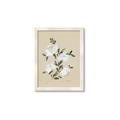 Picture of White Whisps II _GroupedProduct_Rectangle_Portrait_Framed_Matted_