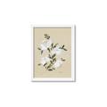 Picture of White Whisps II _GroupedProduct_Rectangle_Portrait_Framed_Matted_