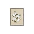 Picture of White Whisps II _GroupedProduct_Rectangle_Portrait_Framed_Matted_