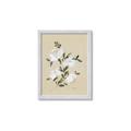 Picture of White Whisps II _GroupedProduct_Rectangle_Portrait_Framed_Matted_