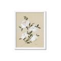 Picture of White Whisps II _GroupedProduct_Rectangle_Portrait_Framed_Matted_