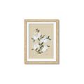 Picture of White Whisps II _GroupedProduct_Rectangle_Portrait_Framed_Matted_