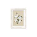 Picture of White Whisps II _GroupedProduct_Rectangle_Portrait_Framed_Matted_
