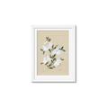 Picture of White Whisps II _GroupedProduct_Rectangle_Portrait_Framed_Matted_