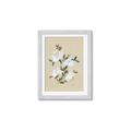 Picture of White Whisps II _GroupedProduct_Rectangle_Portrait_Framed_Matted_