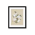 Picture of White Whisps II _GroupedProduct_Rectangle_Portrait_Framed_Matted_