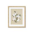 Picture of White Whisps II _GroupedProduct_Rectangle_Portrait_Framed_Matted_