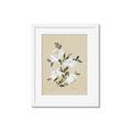 Picture of White Whisps II _GroupedProduct_Rectangle_Portrait_Framed_Matted_
