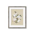 Picture of White Whisps II _GroupedProduct_Rectangle_Portrait_Framed_Matted_
