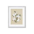 Picture of White Whisps II _GroupedProduct_Rectangle_Portrait_Framed_Matted_