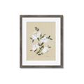 Picture of White Whisps II _GroupedProduct_Rectangle_Portrait_Framed_Matted_