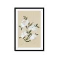 Picture of White Whisps II _GroupedProduct_Rectangle_Portrait_Framed_Matted_
