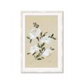Picture of White Whisps II _GroupedProduct_Rectangle_Portrait_Framed_Matted_