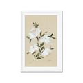 Picture of White Whisps II _GroupedProduct_Rectangle_Portrait_Framed_Matted_