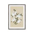 Picture of White Whisps II _GroupedProduct_Rectangle_Portrait_Framed_Matted_