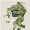 Picture of Plant in Black Pot I _GroupedProduct_Square_Unframed_Print_Only_