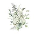 Picture of Botanical Burst I _GroupedProduct_Square_Unframed_Print_Only_
