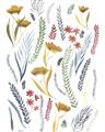 Picture of Ferns & Florals I _GroupedProduct_Rectangle_Portrait_Unframed_Print_Only_