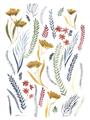 Picture of Ferns & Florals I _GroupedProduct_Rectangle_Portrait_Unframed_Print_Only_