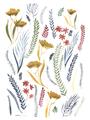 Picture of Ferns & Florals I _GroupedProduct_Rectangle_Portrait_Unframed_Print_Only_