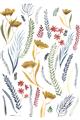 Picture of Ferns & Florals I _GroupedProduct_Rectangle_Portrait_Unframed_Print_Only_