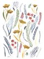 Picture of Ferns & Florals I _GroupedProduct_Rectangle_Portrait_Unframed_Print_Only_