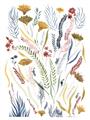 Picture of Ferns & Florals II _GroupedProduct_Rectangle_Portrait_Unframed_Print_Only_