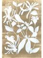 Picture of White Wash Florals I _GroupedProduct_Rectangle_Portrait_Unframed_Print_Only_