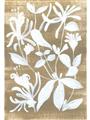 Picture of White Wash Florals I _GroupedProduct_Rectangle_Portrait_Unframed_Print_Only_