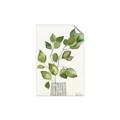 Picture of Golden Greens I _GroupedProduct_Rectangle_Portrait_Unframed_Print_Only_