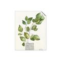 Picture of Golden Greens I _GroupedProduct_Rectangle_Portrait_Unframed_Print_Only_