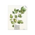 Picture of Golden Greens I _GroupedProduct_Rectangle_Portrait_Unframed_Print_Only_