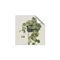Picture of Plant in Black Pot I _GroupedProduct_Square_Unframed_Print_Only_