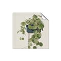Picture of Plant in Black Pot I _GroupedProduct_Square_Unframed_Print_Only_