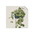 Picture of Plant in Black Pot I _GroupedProduct_Square_Unframed_Print_Only_