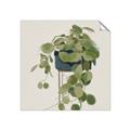 Picture of Plant in Black Pot I _GroupedProduct_Square_Unframed_Print_Only_