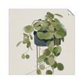 Picture of Plant in Black Pot I _GroupedProduct_Square_Unframed_Print_Only_
