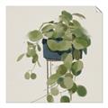 Picture of Plant in Black Pot I _GroupedProduct_Square_Unframed_Print_Only_