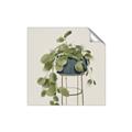 Picture of Plant in Black Pot II _GroupedProduct_Square_Unframed_Print_Only_