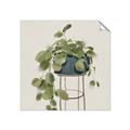 Picture of Plant in Black Pot II _GroupedProduct_Square_Unframed_Print_Only_