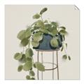 Picture of Plant in Black Pot II _GroupedProduct_Square_Unframed_Print_Only_