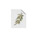 Picture of Olive Branch _GroupedProduct_Rectangle_Portrait_Unframed_Print_Only_