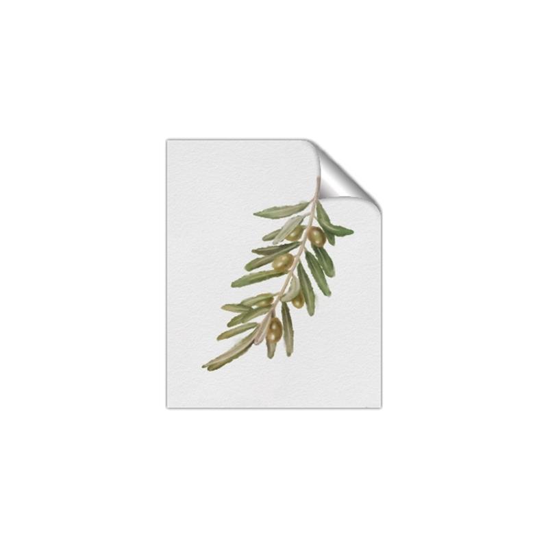 Picture of Olive Branch _GroupedProduct_Rectangle_Portrait_Unframed_Print_Only_