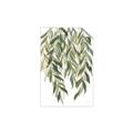 Picture of Lovely Leaves I _GroupedProduct_Rectangle_Portrait_Unframed_Print_Only_